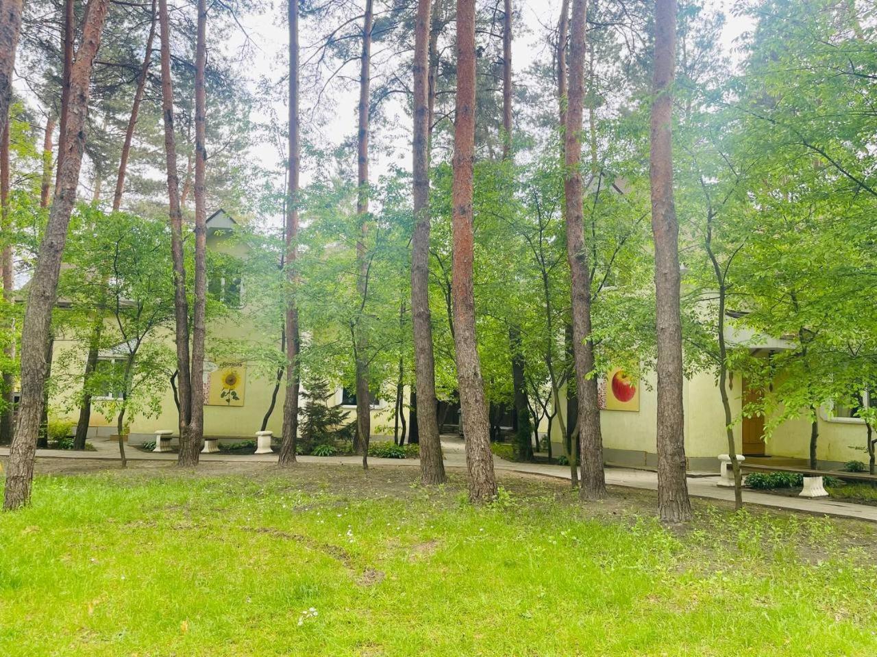 Inn Ethno Complex Ukrayinske Selo Buzovaya